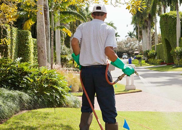 About Lithonia GA Pest Control Pros